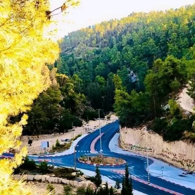 يافا | موسوعة القرى الفلسطينية